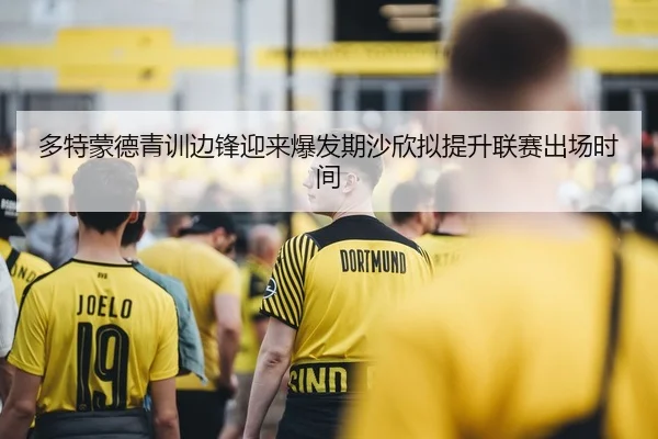 多特蒙德青训边锋迎来爆发期沙欣拟提升联赛出场时间